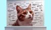Cat Meme Guide: Secrets to Feline Internet Stardom