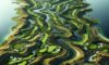 Bellville Golf Club: A Premier Golfing Destination