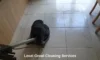 Grout Cleaners: Top Local Recommendations in Longcross