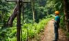 Canopy Tours: Zip Lining Adventures Through Belize’s Rainforest