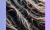 Reversing Heat Damage with Effective Strategies and Solutions