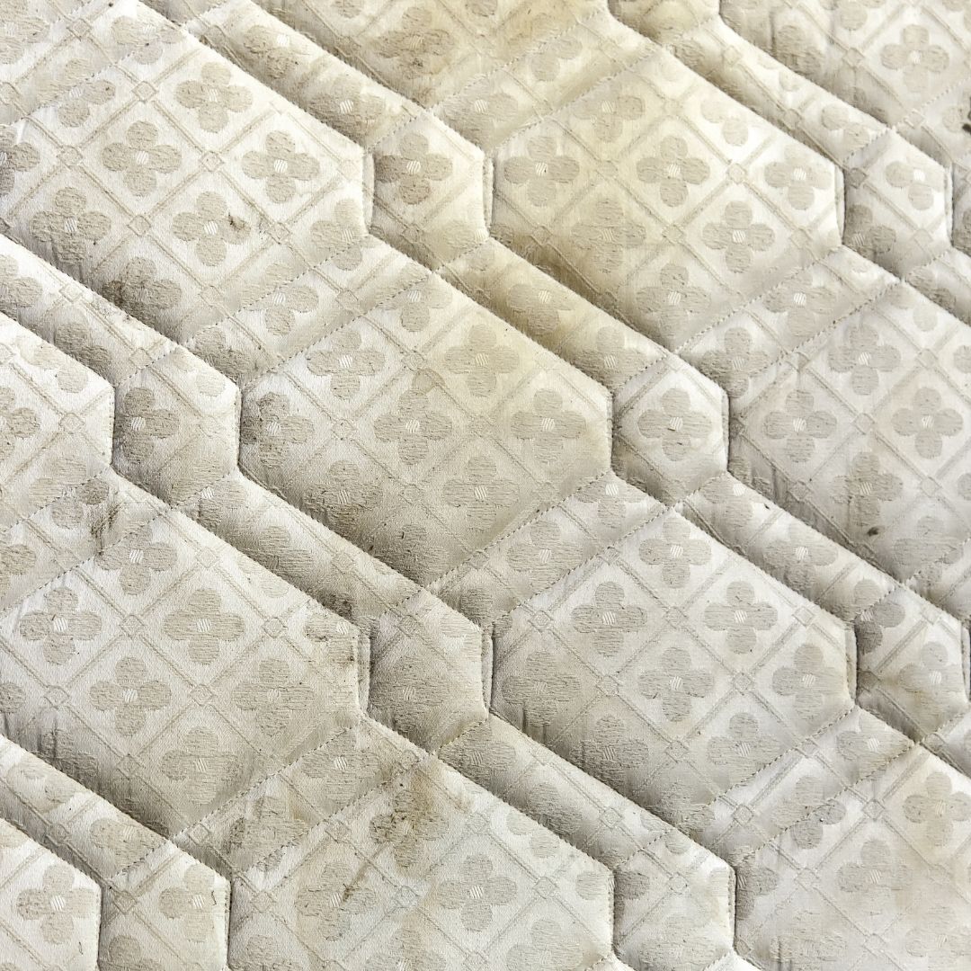 Mattress Cleaning Sydney(6)