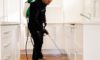 DIY Pest Control: Why Professional Solutions Outperform Store Sprays