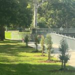 Tree Planting Initiative by Cardiff NSW Council