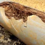 Pipe Relining: Tackling Tree Roots in Drains Effectively