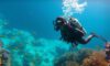 Big Blue Hole Diving Tips for Thrilling Adventures