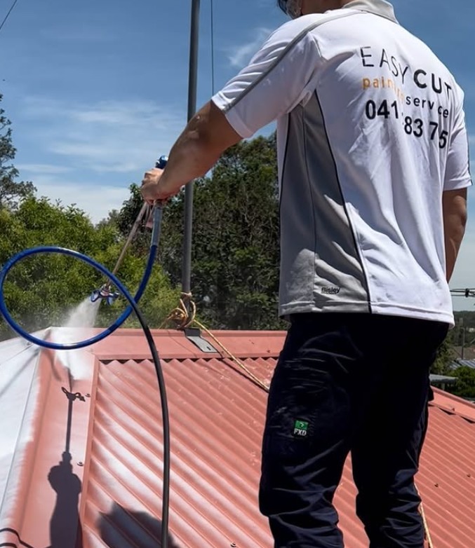 Metal Roof Painting: Expert Insights from the Hills District