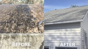 Understand the Vital Role of Soft Washing in Comprehensive Home Maintenance