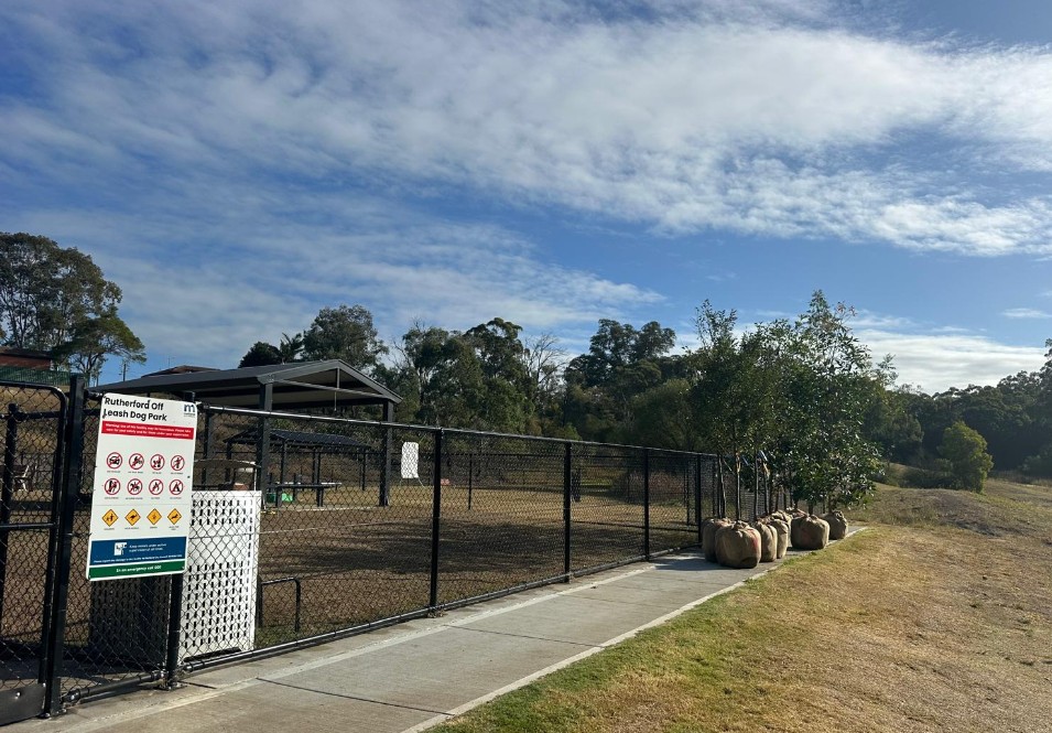Tree Planting at Maitland’s Rutherford Dog Park