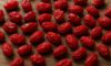 Dried Barberries in Authentic Persian Recipes