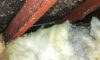 Choosing a Skip Hire Service: Essential Asbestos Tips