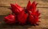 Hibiscus Flowers: Creative Culinary Tips and Techniques