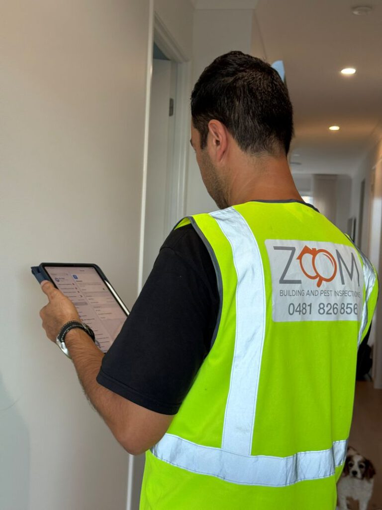 Building and Pest Inspection: A Comparative Guide for Brisbane